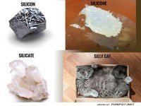 Welches Sili(n) passt nicht in die Reihe?