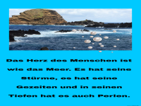 das herz des menschen
