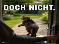 Die Katze, die es sich anders �berlegt hat