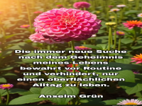 die immer neue suche