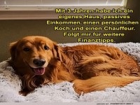 Finanztipps vom flauschigen Guru