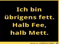 Ich bin �brigens...