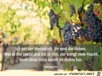 Johannes 15 5