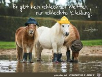 Es gibt kein schlechtes Wetter