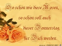 So schoen wie die Rosen