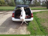 Das passt nicht ganz