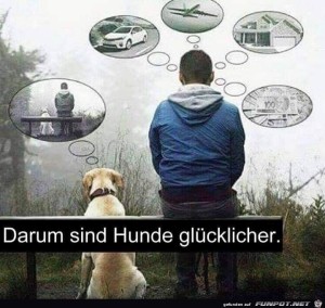 darum.jpg auf www.funpot.net