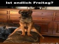 Ist endlich Freitag?