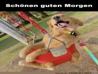 Guten Morgen