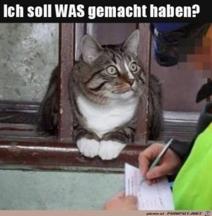 Was-soll-ich-gemacht-haben?.jpg auf www.funpot.net