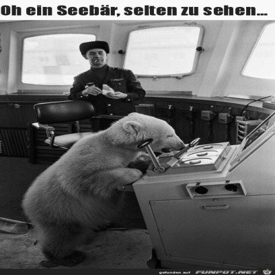 Oh-ein-Seebaer.jpg von Keule56