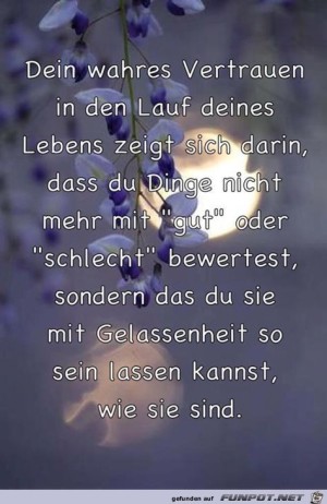 Dein-wahres-Vertrauen.jpg auf www.funpot.net