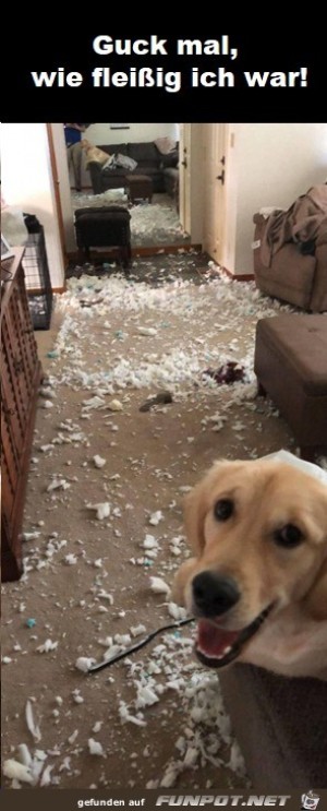 Ganze-Arbeit-geleistet.jpg auf www.funpot.net