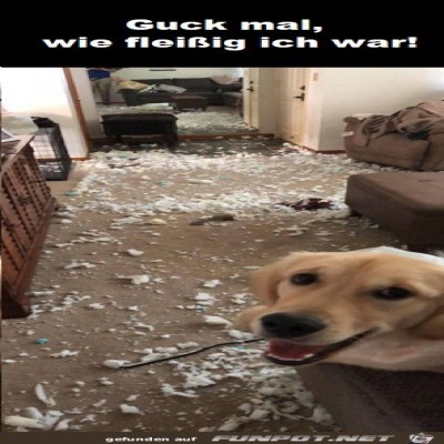 Ganze-Arbeit-geleistet.jpg von Marleen