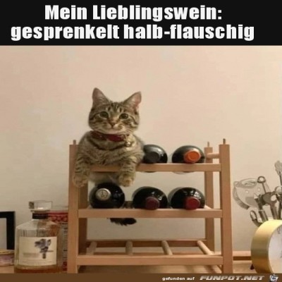 Guter-Wein.jpg von Tilo