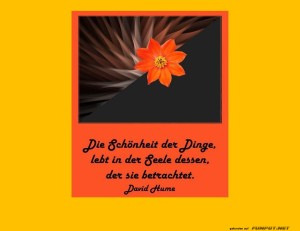 Die-Sch�nheit-der-Dinge.jpg auf www.funpot.net