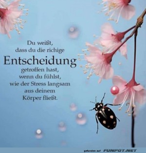Die-richtige-Entscheidung.jpg auf www.funpot.net