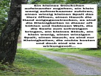 ein kleines st�ckchen