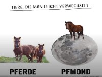 Humorvolle Darstellung von Tieren