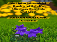 die natur ist zugleich