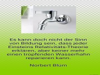 es kann doch nicht der sinn