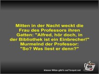 Mitten in der Nacht weckt die Frau des Professors ihren...