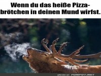 Wenn du's Pizza-Brtchen bertreibst!