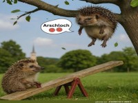 Igel-Katapult in Aktion!