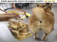 Verwirrung im Supermarkt: Doppelt gesehen!