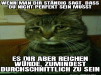 Katzenlogik: Perfekt unvollkommen sein!