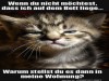 weiter