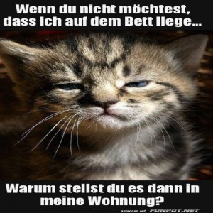 fun-Bild: Warum stellst du das Bett auch in meine Wohnung?