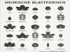 weiter