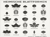 Lern was