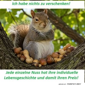 Eichh�rnchens-Nussparadies:-Zutritt-verboten!.jpg von Matilda