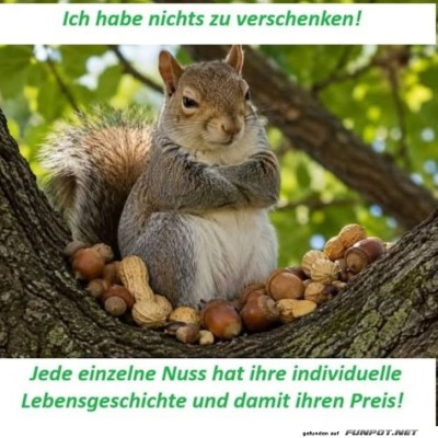 Eichh&ouml;rnchens-Nussparadies:-Zutritt-verboten!.jpg von Matilda