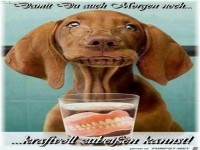 Zaehne