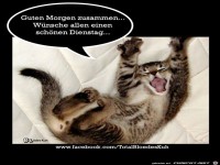 Guten Morgen zusammen