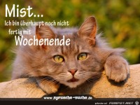 mist -ich-bin-ueberhaupt-noch-nich