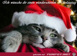 herz-Bild: schönen Nikolaus