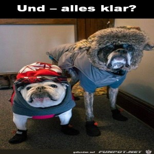 Begr&uuml;&szlig;ungsbild