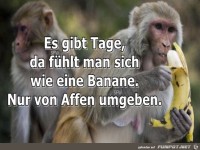 wie eine Banane