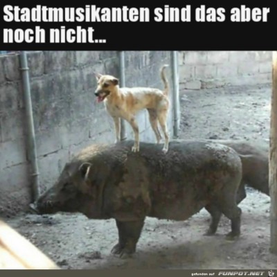 Unvollst&auml;ndige-Stadtmusikanten.jpg von Rebecca