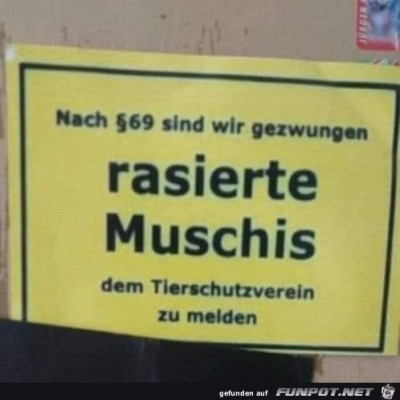 Muschis.jpg von Keule56