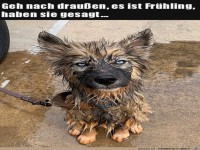 Toller Fr�hling