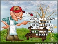 Kann mal jemand den Mücken erklären