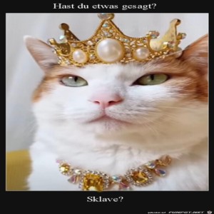 fun-Bild: Die Katzen-Königin