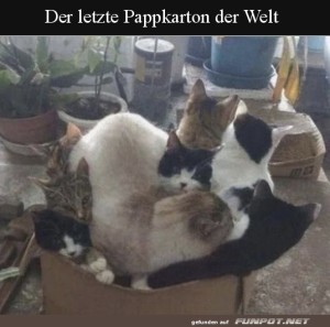 Der-letzte-Karton.jpg auf www.funpot.net