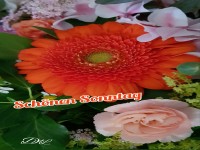 Schnen Sonntag / Nice Sunday -Blte