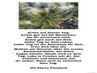 Achte auf diesen Tag